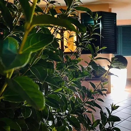 The Loft E&e Open Space Empoli
